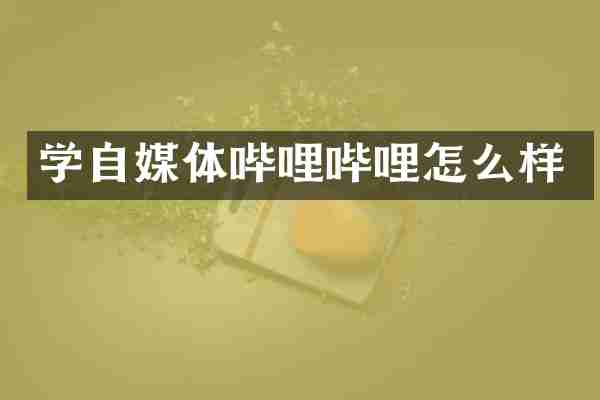 学自媒体哔哩哔哩怎么样