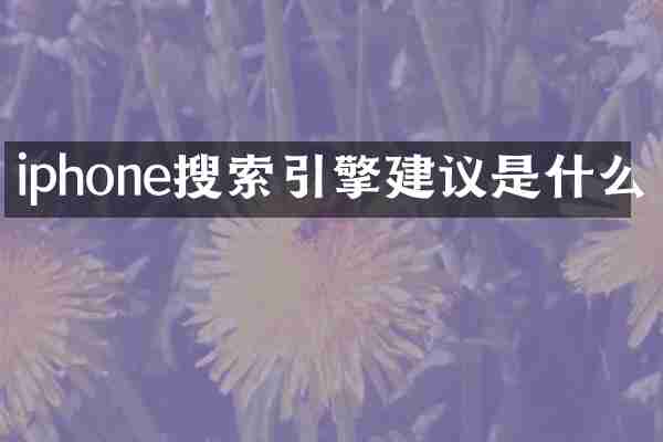 iphone搜索引擎建议是什么
