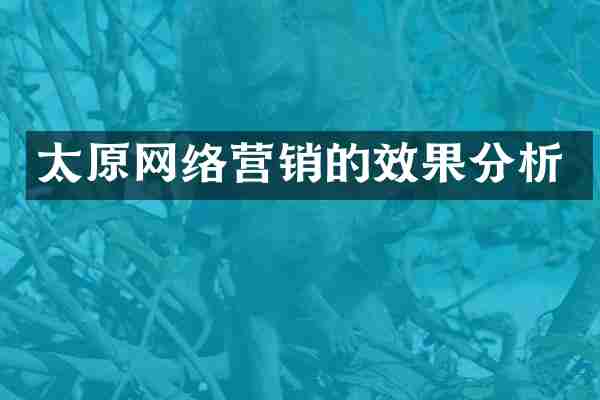 太原网络营销的效果分析