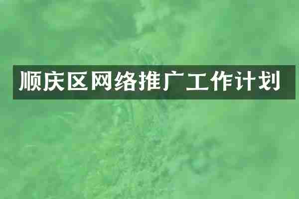 顺庆区网络推广工作计划