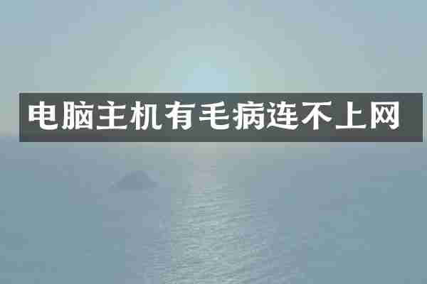 电脑主机有毛病连不上网