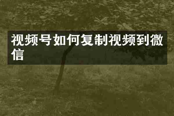 视频号如何复制视频到微信