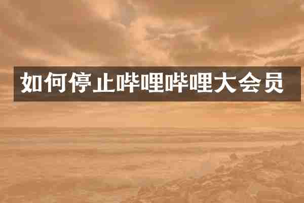 如何停止哔哩哔哩大会员