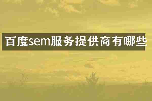 百度sem服务提供商有哪些