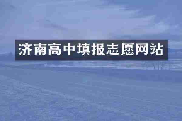 济南高中填报志愿网站