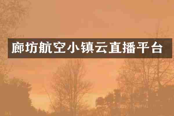 廊坊航空小镇云直播平台