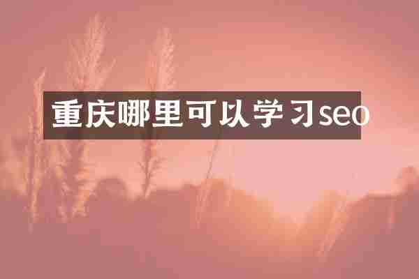 重庆哪里可以学习seo