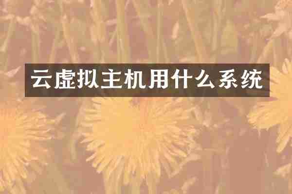 云虚拟主机用什么系统