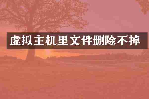 虚拟主机里文件删除不掉