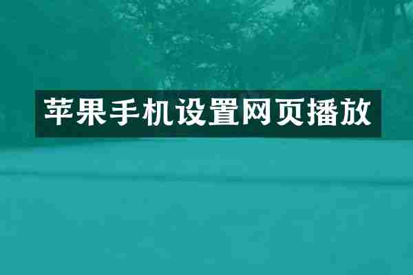 苹果手机设置网页播放