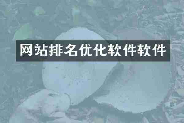 网站排名优化软件软件