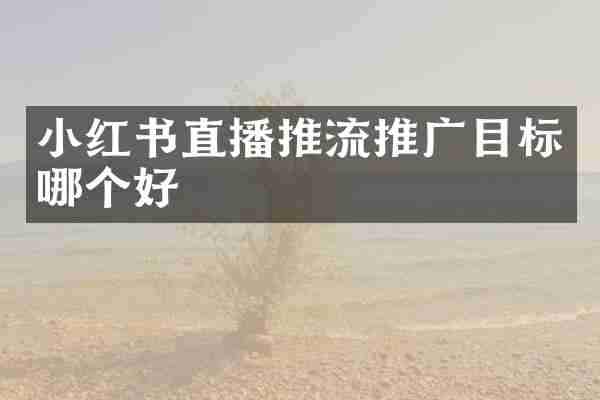 小红书直播推流推广目标哪个好