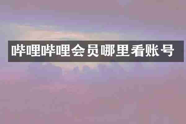 哔哩哔哩会员哪里看账号