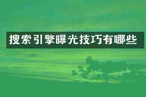 搜索引擎曝光技巧有哪些