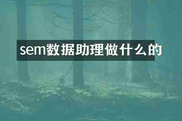 sem数据助理做什么的