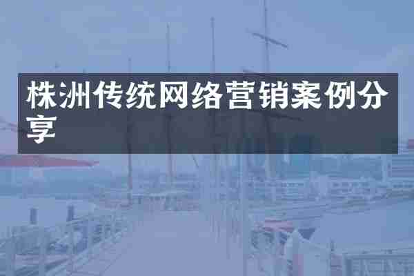 株洲传统网络营销案例分享