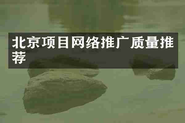 北京项目网络推广质量推荐