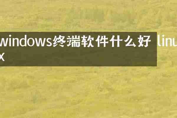 windows终端软件什么好 linux