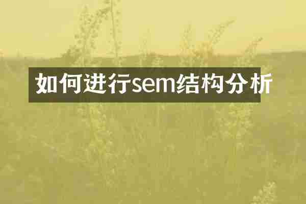 如何进行sem结构分析