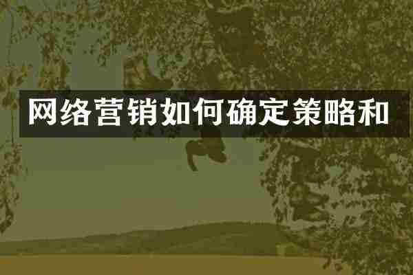 网络营销如何确定策略和