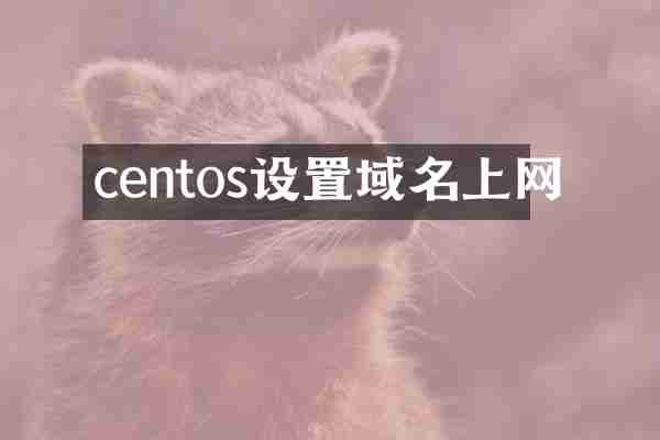 centos设置域名上网