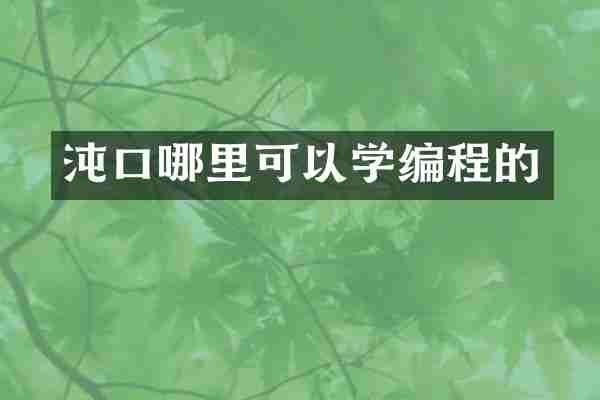 沌口哪里可以学编程的