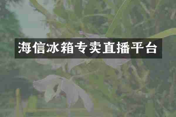 海信冰箱专卖直播平台