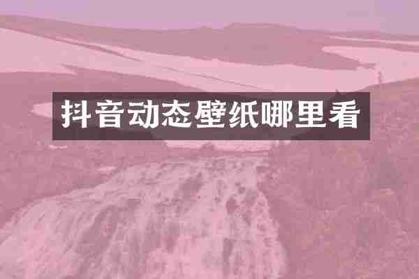 抖音动态壁纸哪里看