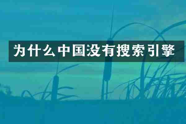 为什么中国没有搜索引擎