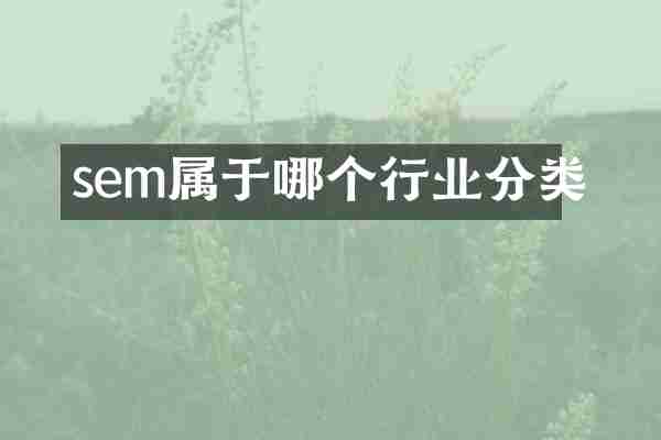 sem属于哪个行业分类