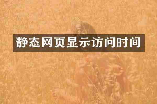 静态网页显示访问时间