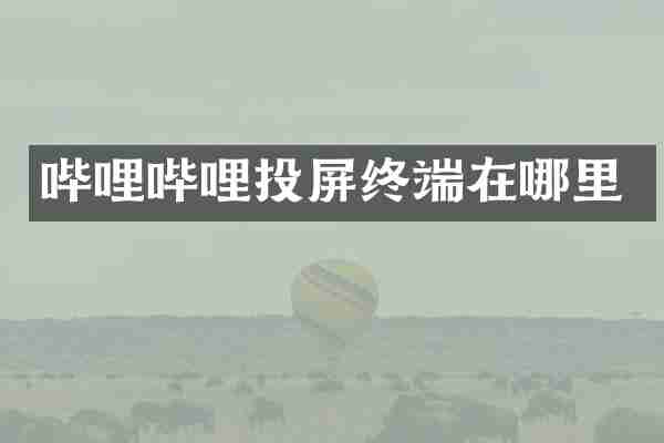 哔哩哔哩投屏终端在哪里
