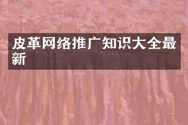 皮革网络推广知识大全最新