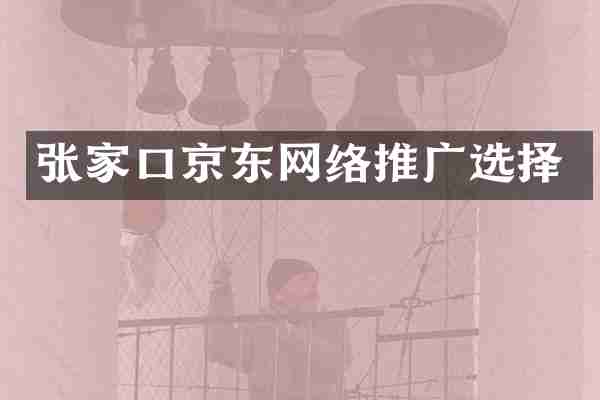 张家口京东网络推广选择