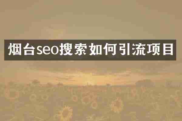 烟台seo搜索如何引流项目