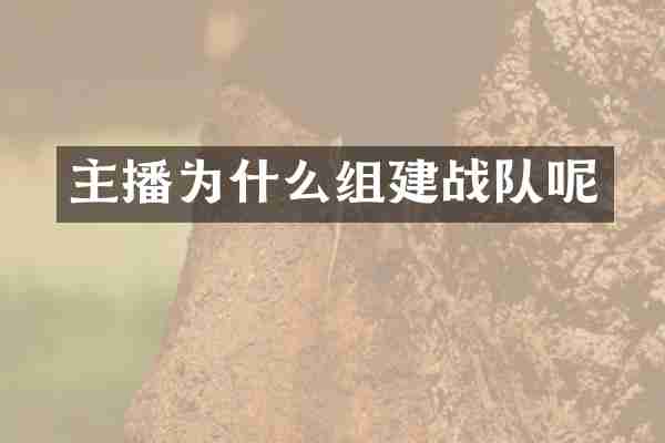 主播为什么组建战队呢