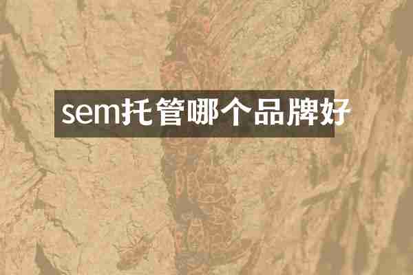 sem托管哪个品牌好