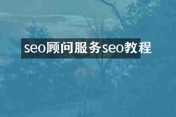 seo顾问服务seo教程