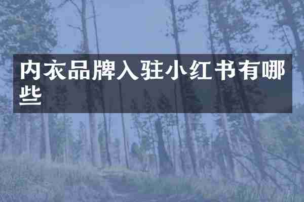 内衣品牌入驻小红书有哪些