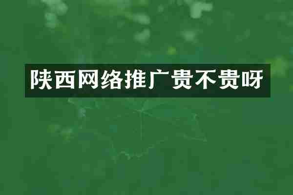 陕西网络推广贵不贵呀