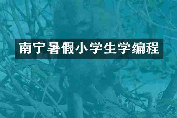 南宁暑假小学生学编程