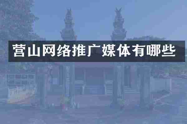 营山网络推广媒体有哪些