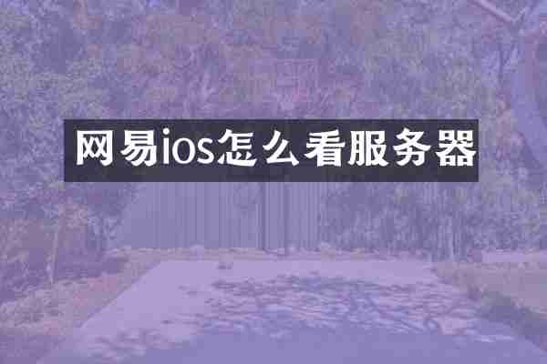 网易ios怎么看服务器