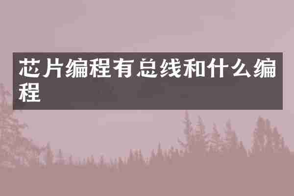 芯片编程有总线和什么编程