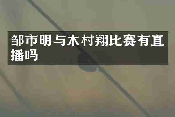 邹市明与木村翔比赛有直播吗
