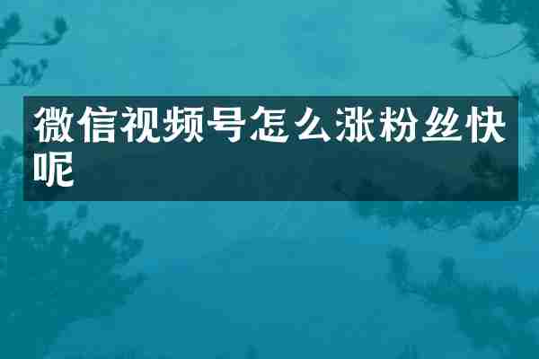 微信视频号怎么涨粉丝快呢