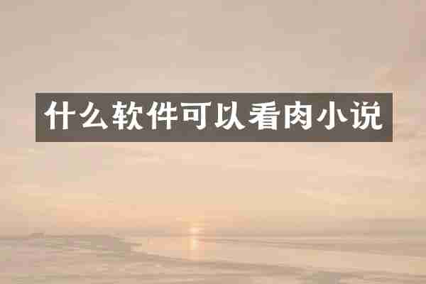 什么软件可以看肉小说