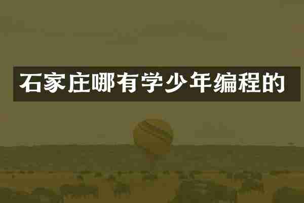 石家庄哪有学少年编程的