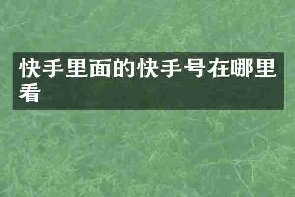 快手里面的快手号在哪里看