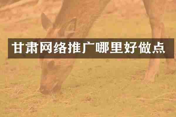 甘肃网络推广哪里好做点